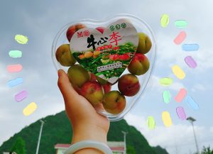 矿山开采许可证报名条件，很多人第一步就错了